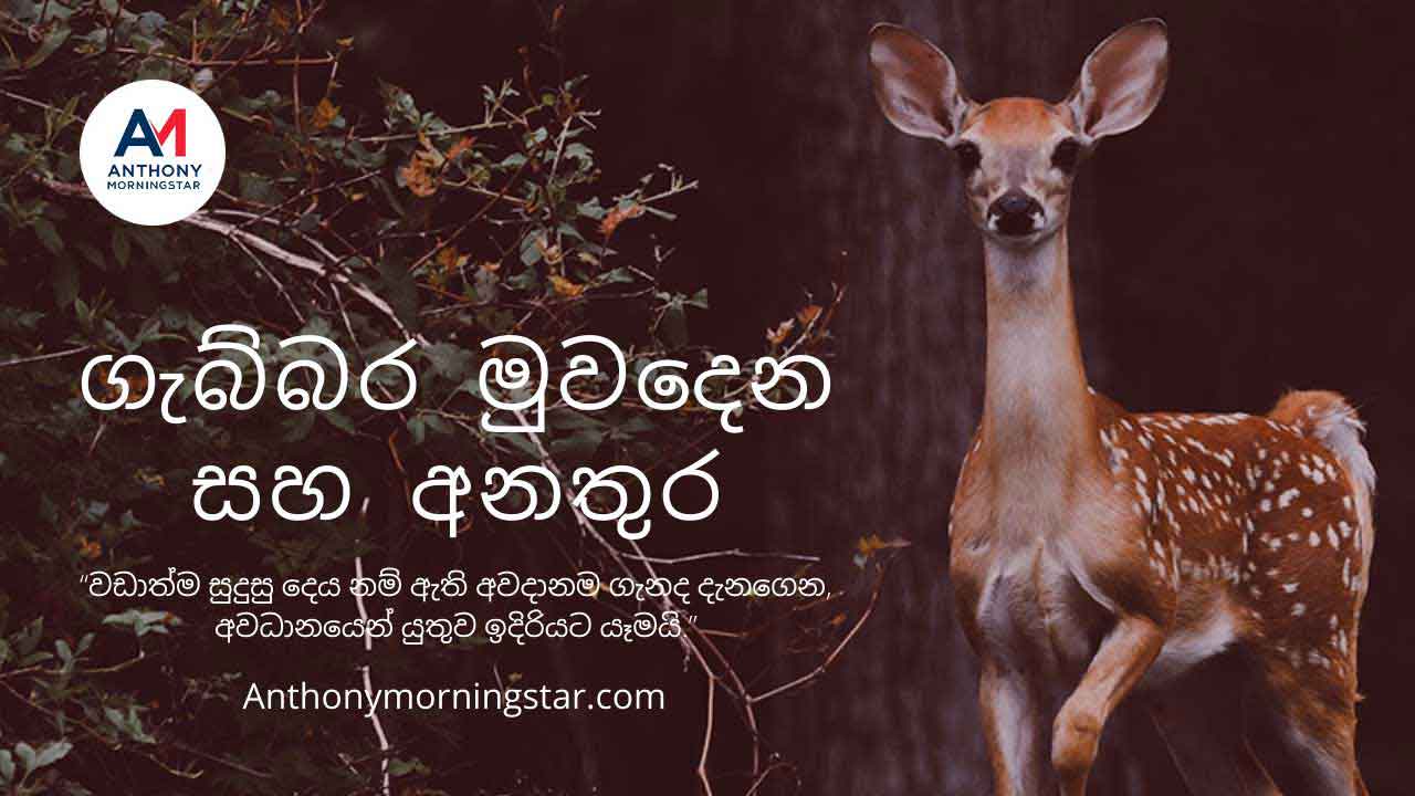 ගැබ්බර මුවදෙන සහ අනතුර